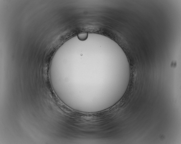 X0000111390745200907101000