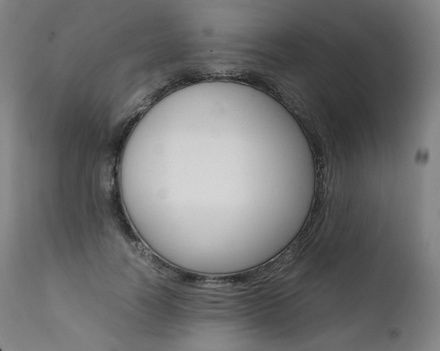 X0000111390746200907101000