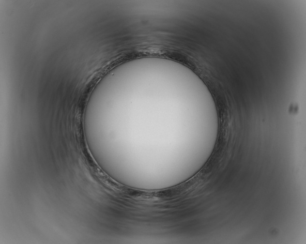 X0000111390747200907101000