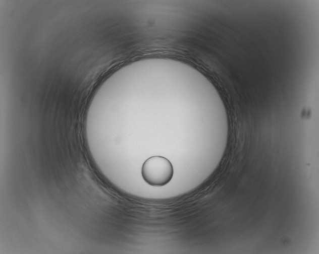 X0000111390748200907101000