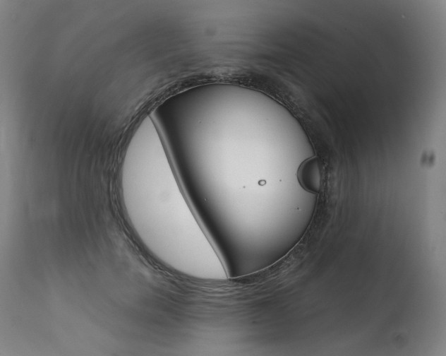 X0000111390750200907101000