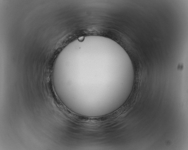 X0000111390751200907101000