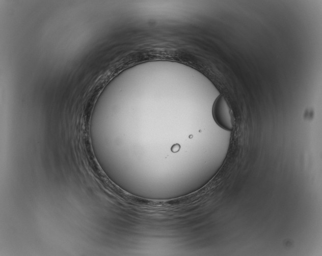 X0000111390752200907101000