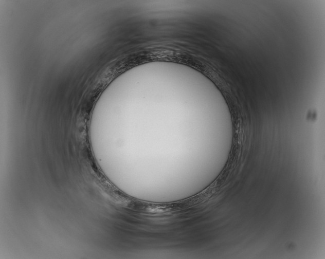 X0000111390753200907101000