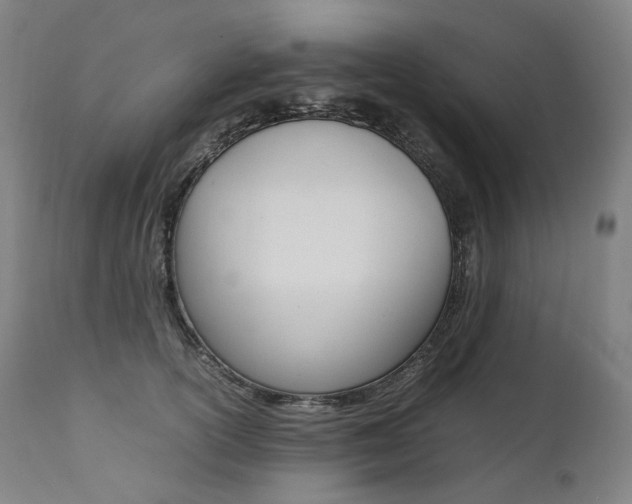 X0000111390754200907101000