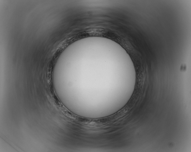 X0000111390755200907101000