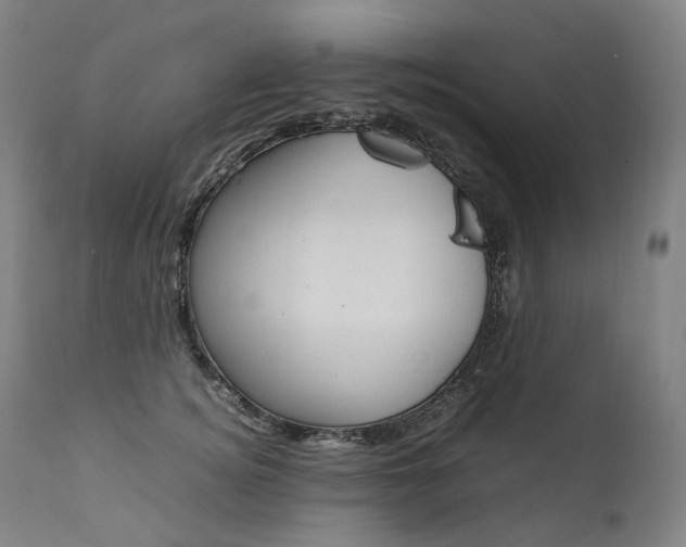 X0000111390756200907101000
