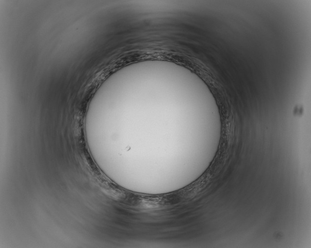 X0000111390757200907101000
