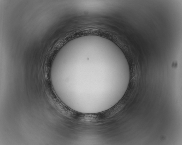 X0000111390758200907101000