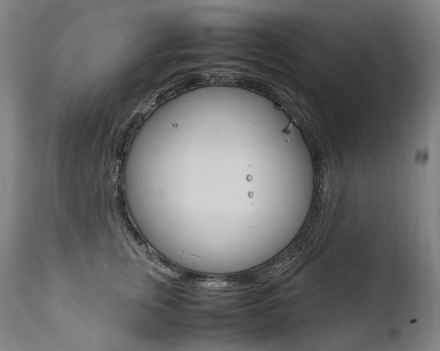 X0000111390759200907101000