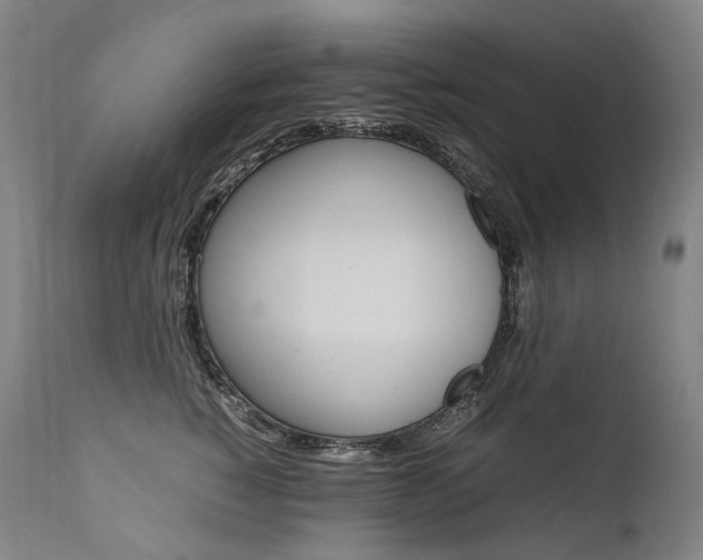 X0000111390760200907101000