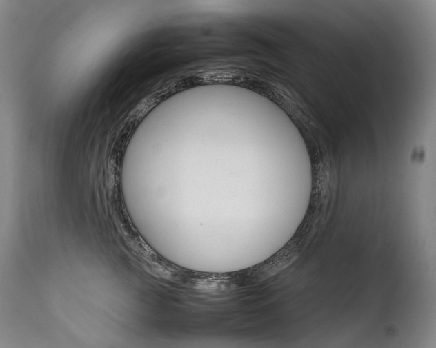 X0000111390761200907101000
