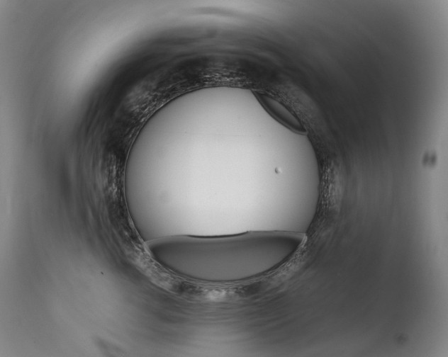 X0000111390762200907101000