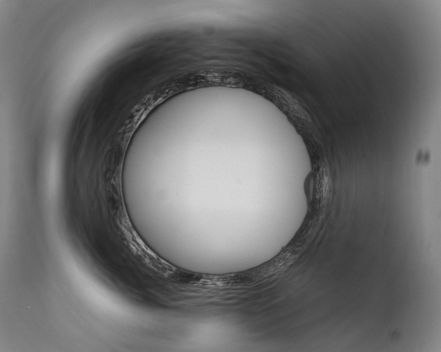 X0000111390764200907101000