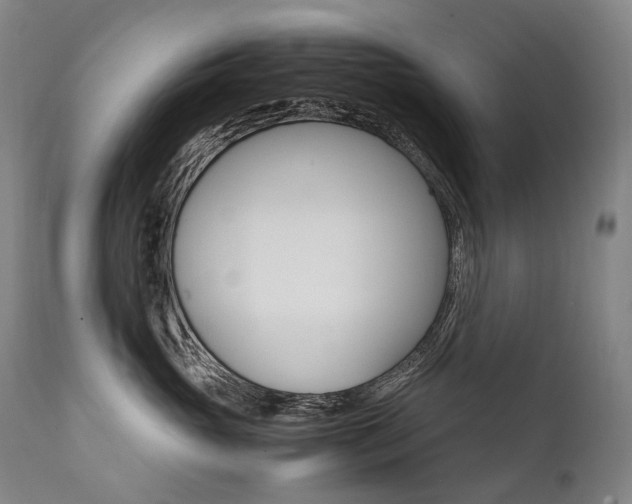 X0000111390765200907101000