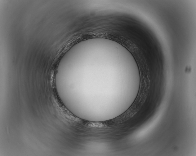 X0000111390767200907101000