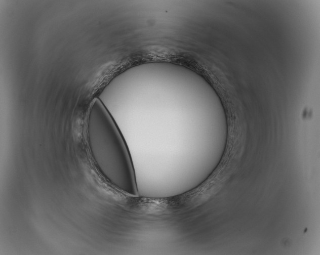 X0000111390768200907101000
