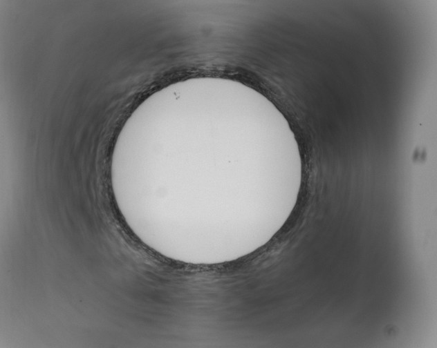 X0000111390769200907101000