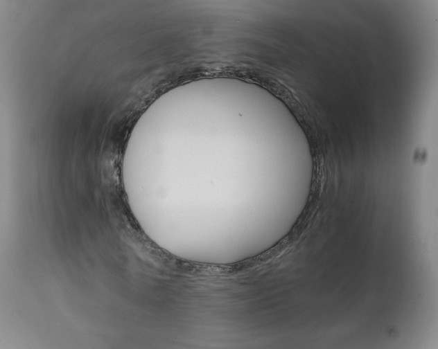 X0000111390770200907101000