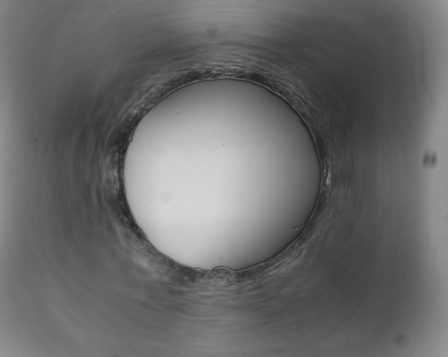 X0000111390771200907101000