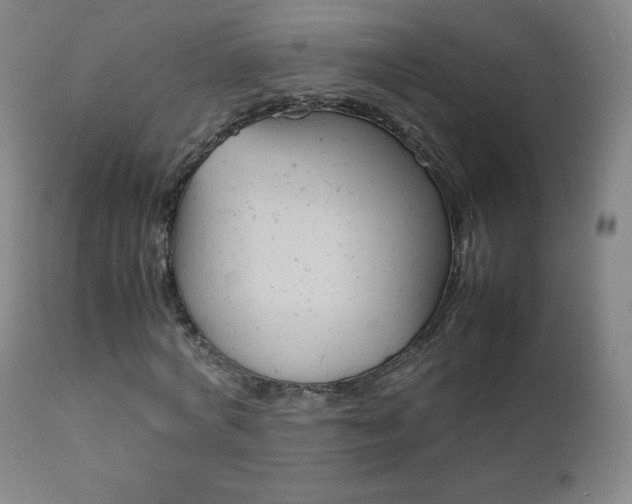 X0000111390772200907101000