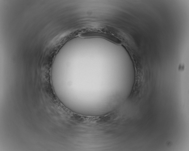 X0000111390773200907101000