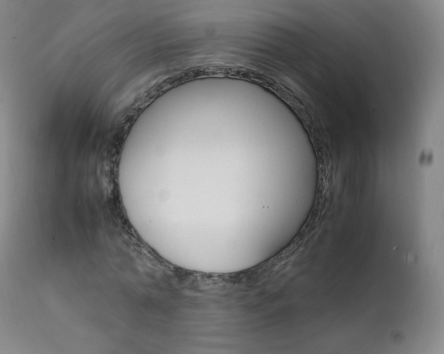 X0000111390774200907101000