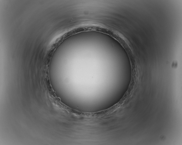X0000111390775200907101000