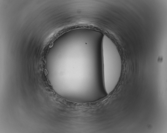 X0000111390776200907101000