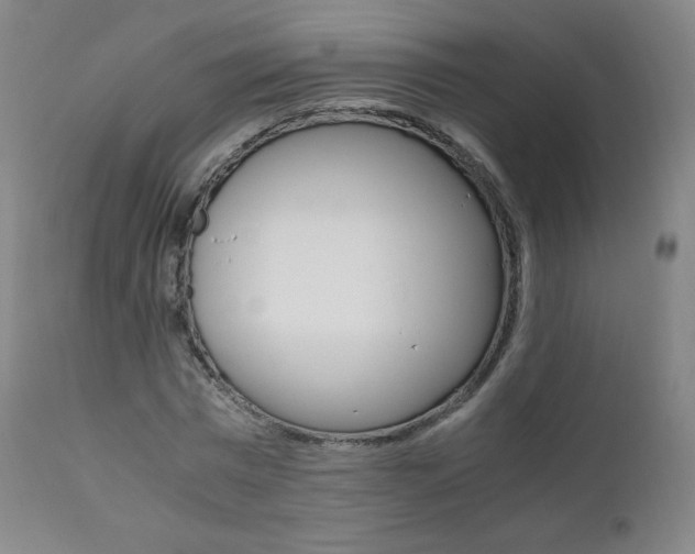X0000111390777200907101000