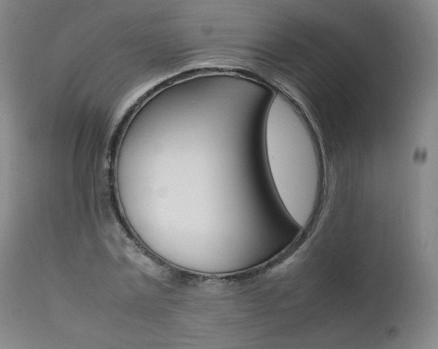 X0000111390779200907100959