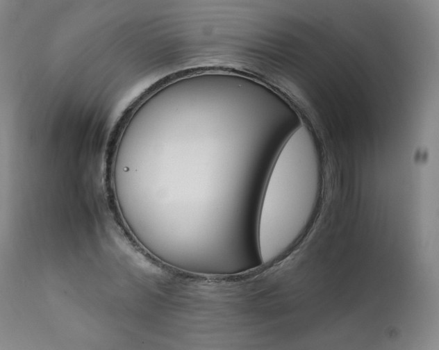 X0000111390780200907100959