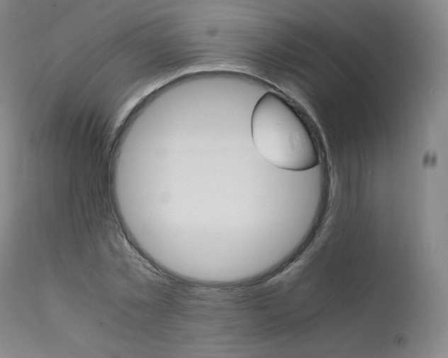 X0000111390781200907100959
