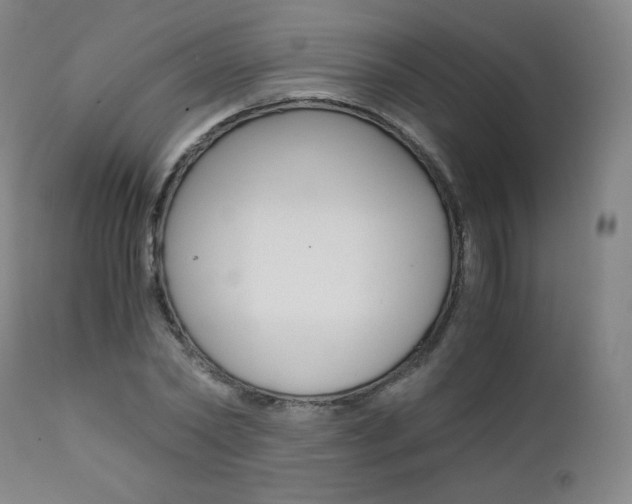 X0000111390782200907100959