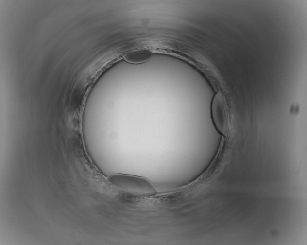 X0000111390785200907100959