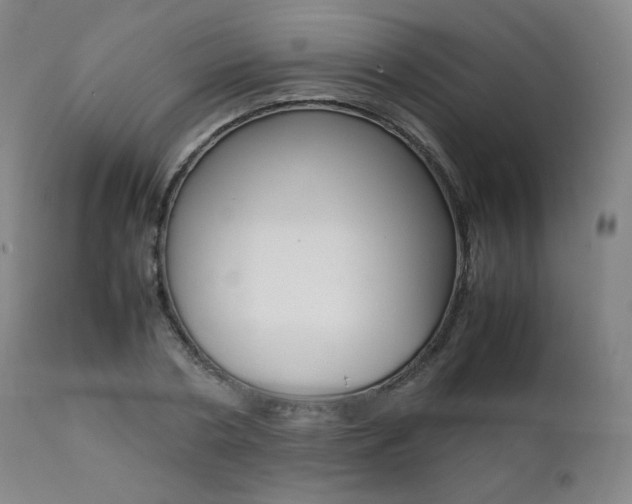 X0000111390786200907100959