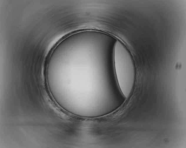 X0000111390788200907100959