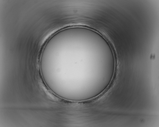 X0000111390789200907100959