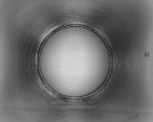 X0000111390790200907100959