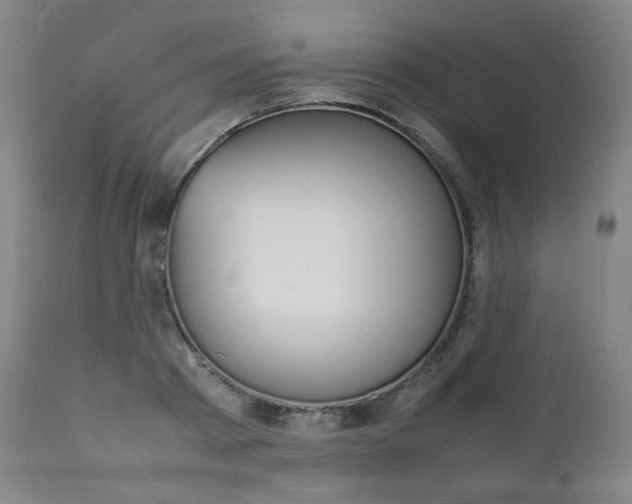 X0000111390793200907100959