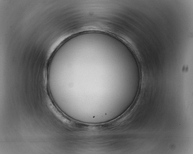 X0000111390796200907100959