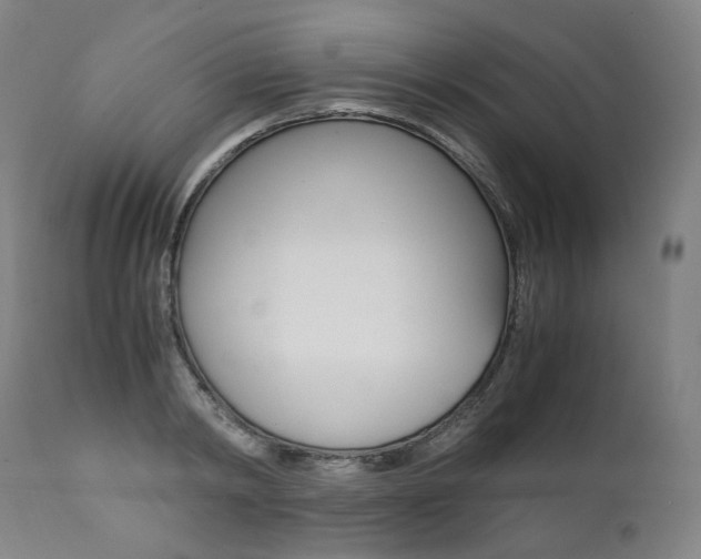 X0000111390798200907100959