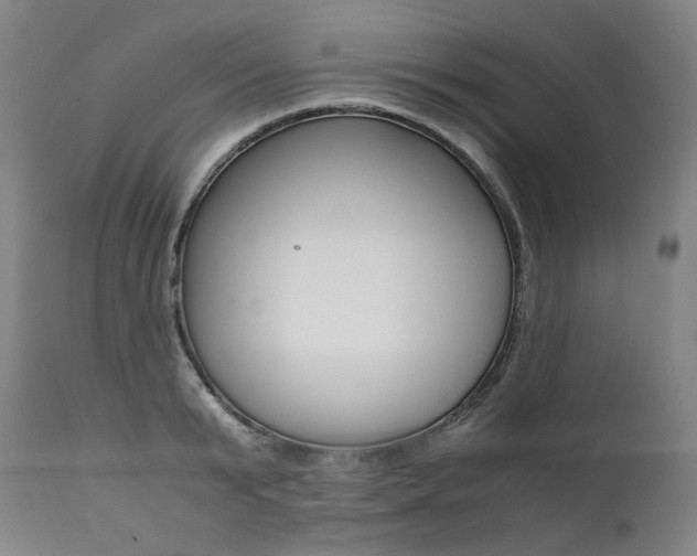 X0000111390799200907100959