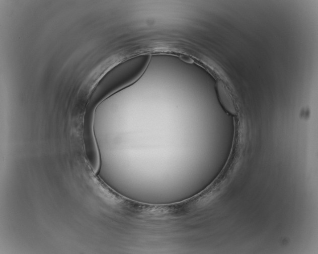 X0000111390801200907100959