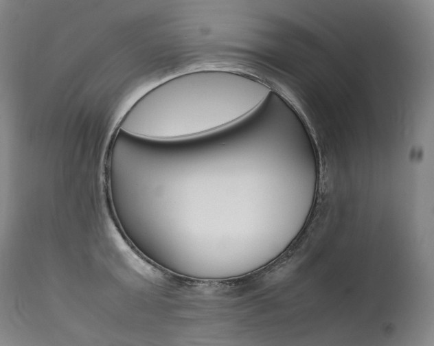 X0000111390803200907100959