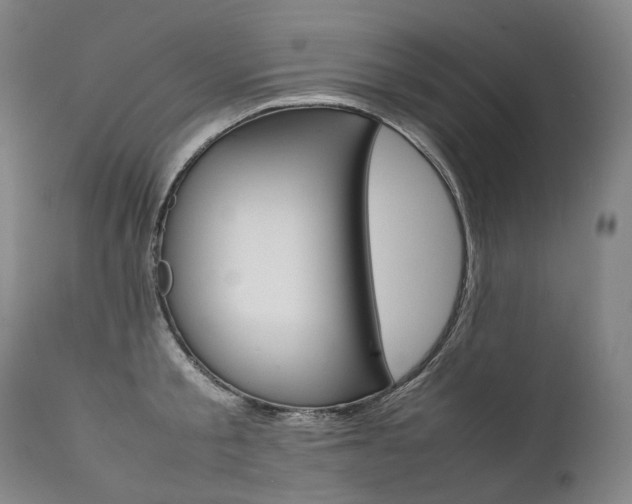 X0000111390805200907100959