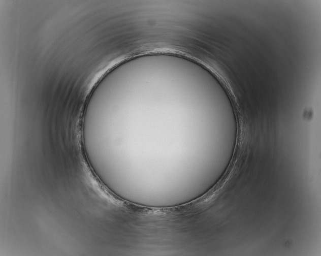 X0000111390806200907100959