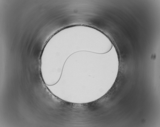 X0000111390807200907100959