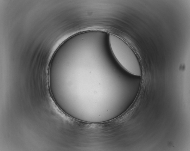 X0000111390808200907100959