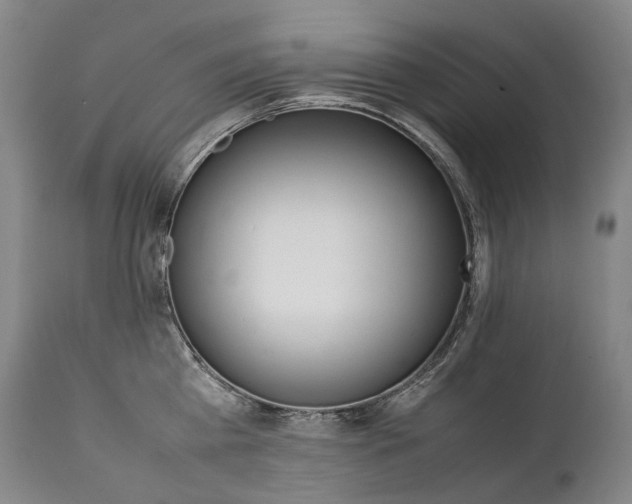 X0000111390809200907100959